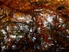 Reflejos del Rubagón en otoño