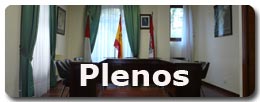 Ir a plenos