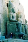 Barruelano bajo los Colosos de Luxor (Egipto)